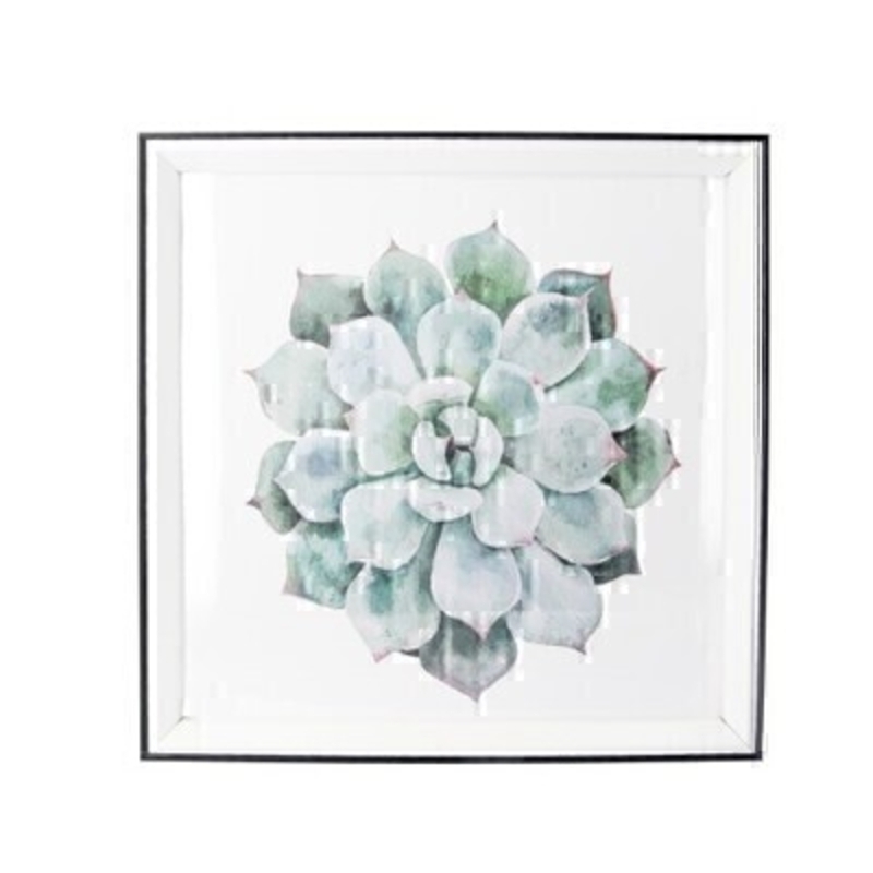 This small square print of a Echeveria comes mounted in a small white frame. It would suit any home decor and would make a lovely gift.  Made by London based designer Gisela Graham who designs really beautiful gifts for your home and garden. Matching prints are also available.